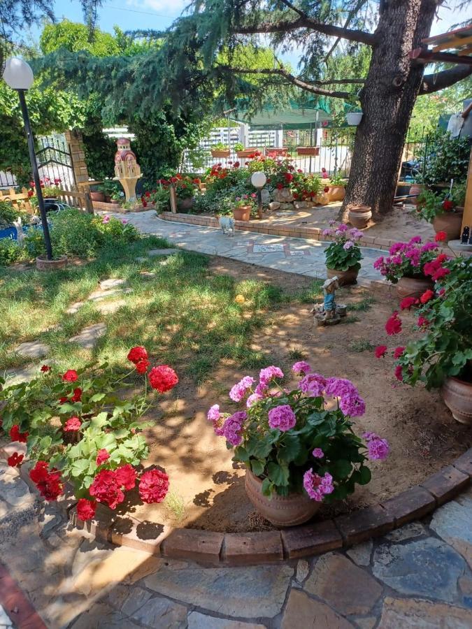 Handmade Peaceful Cozy House Near The Beach Nea Kallikrateia Екстер'єр фото
