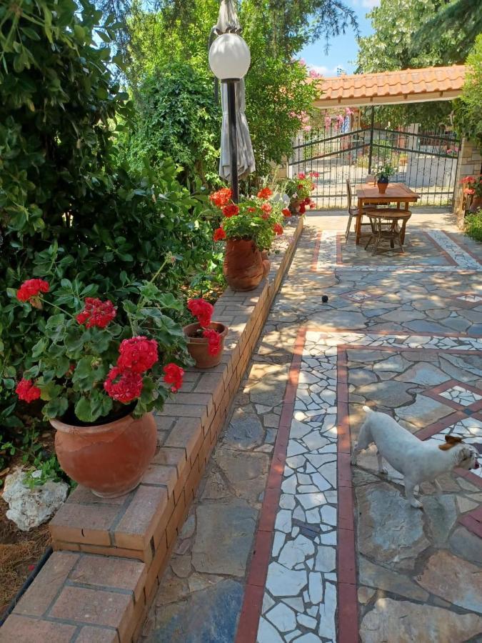 Handmade Peaceful Cozy House Near The Beach Nea Kallikrateia Екстер'єр фото